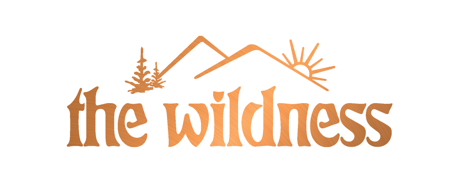 THE WIDNESS LOGO COPPER