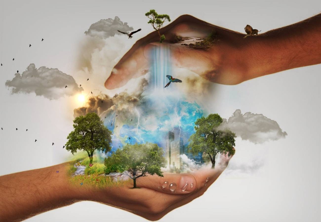 Hands holding trees mountains rivers conscious business and social responsibility BEAUTY IN THE Raw