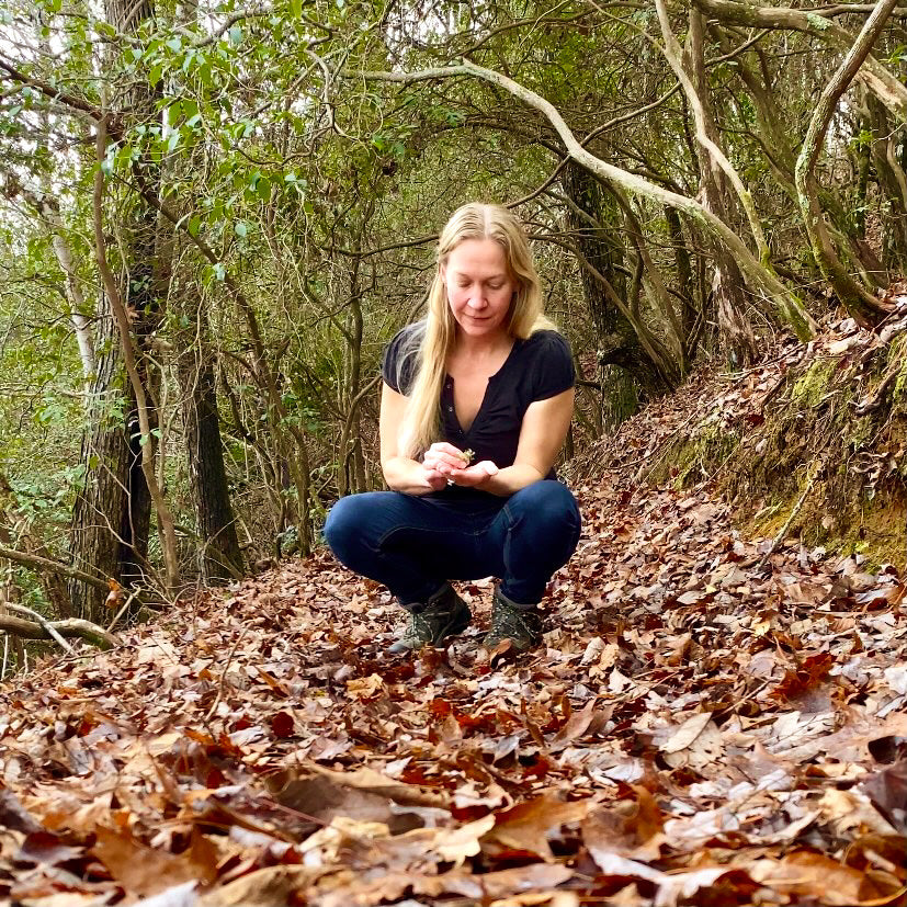 Rachel Powell founder of THE WILDNESS viewing plant found on a leaf covered mountain trial